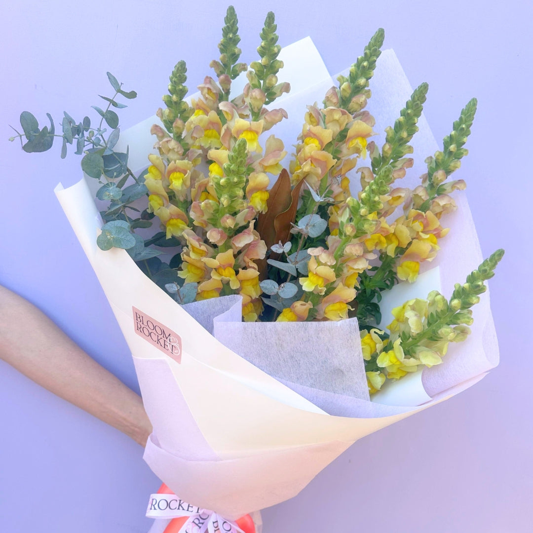 Blooms of the Season bouquet featuring snapdragons and foliage. Bloom and Rocket Florist Brisbane.