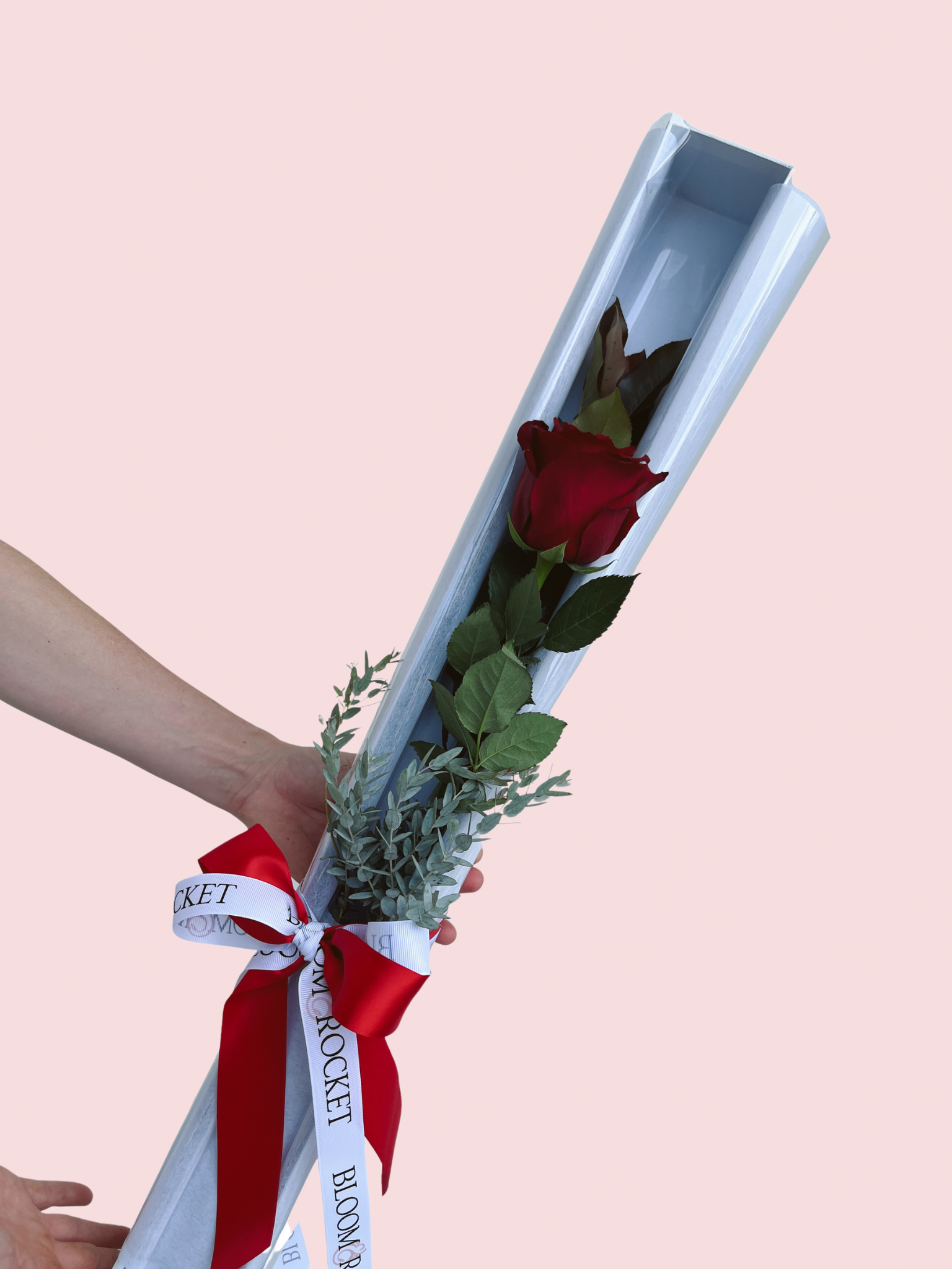 Single red rose box. Brisbane same day flower delivery. Bloom and Rocket Florist.