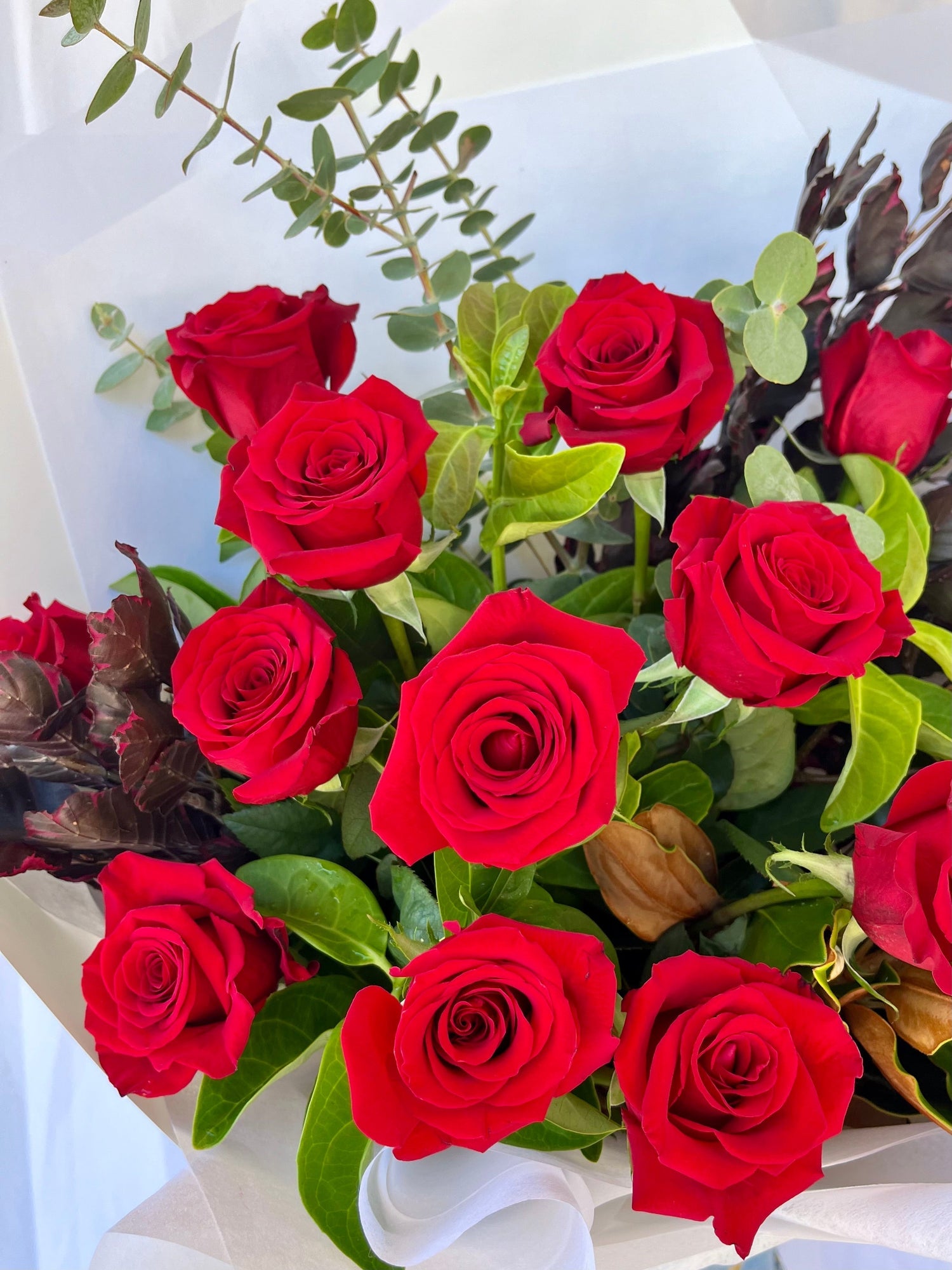 Stunning Red Rose Bouquets and so many more fresh flower bouquets for Valentine's Day 2026 from Bloom & Rocket, Taringa, Brisbane with Brisbane wide same-day delivery available