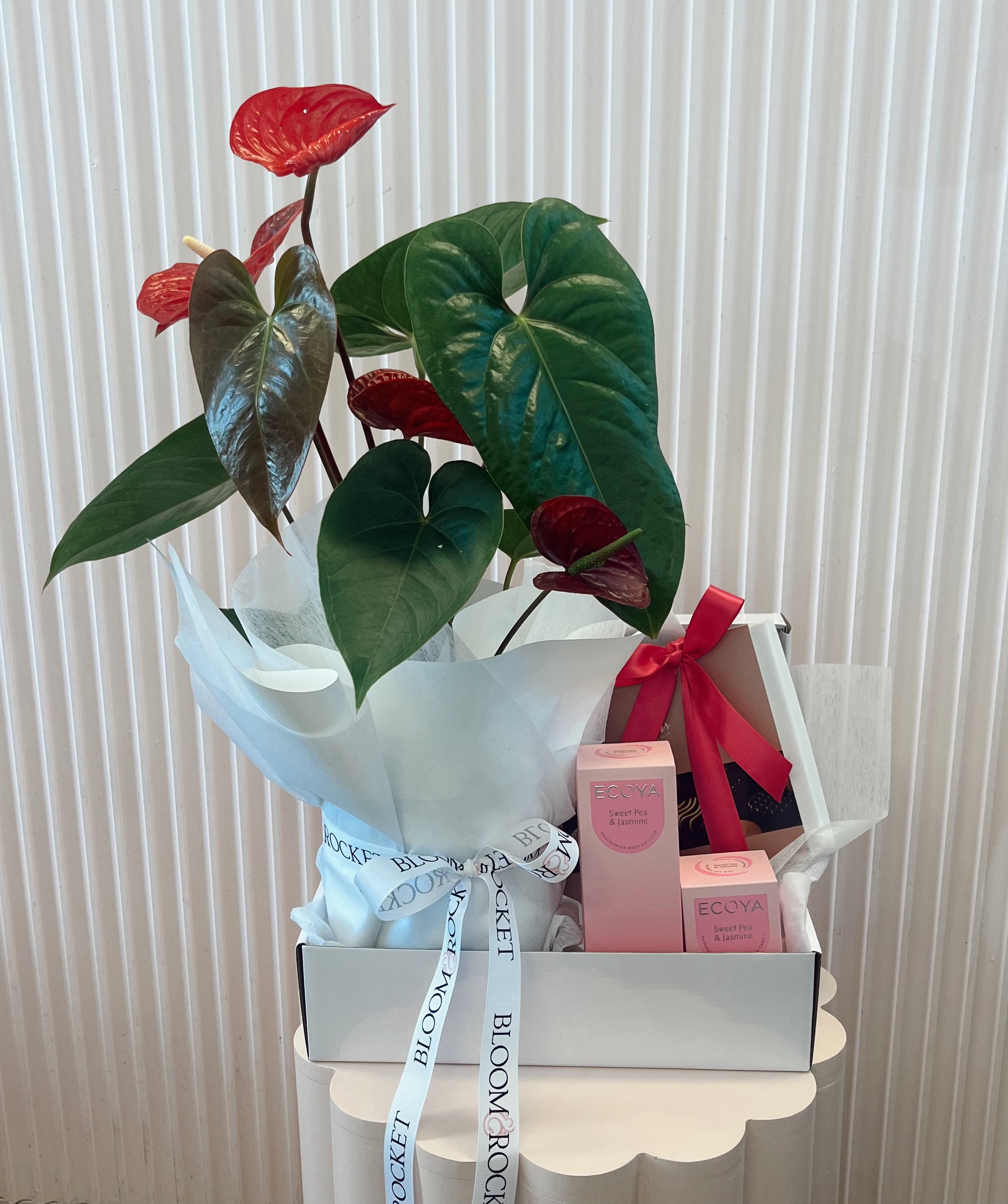 A floral hamper featuring an anthurium plant with red flowers, wrapped in white paper with a ribbon, accompanied by chocolates and a diffuser. Hamper delivery in Taringa, Toowong, Auchenflower, Milton and Brisbane wide. 