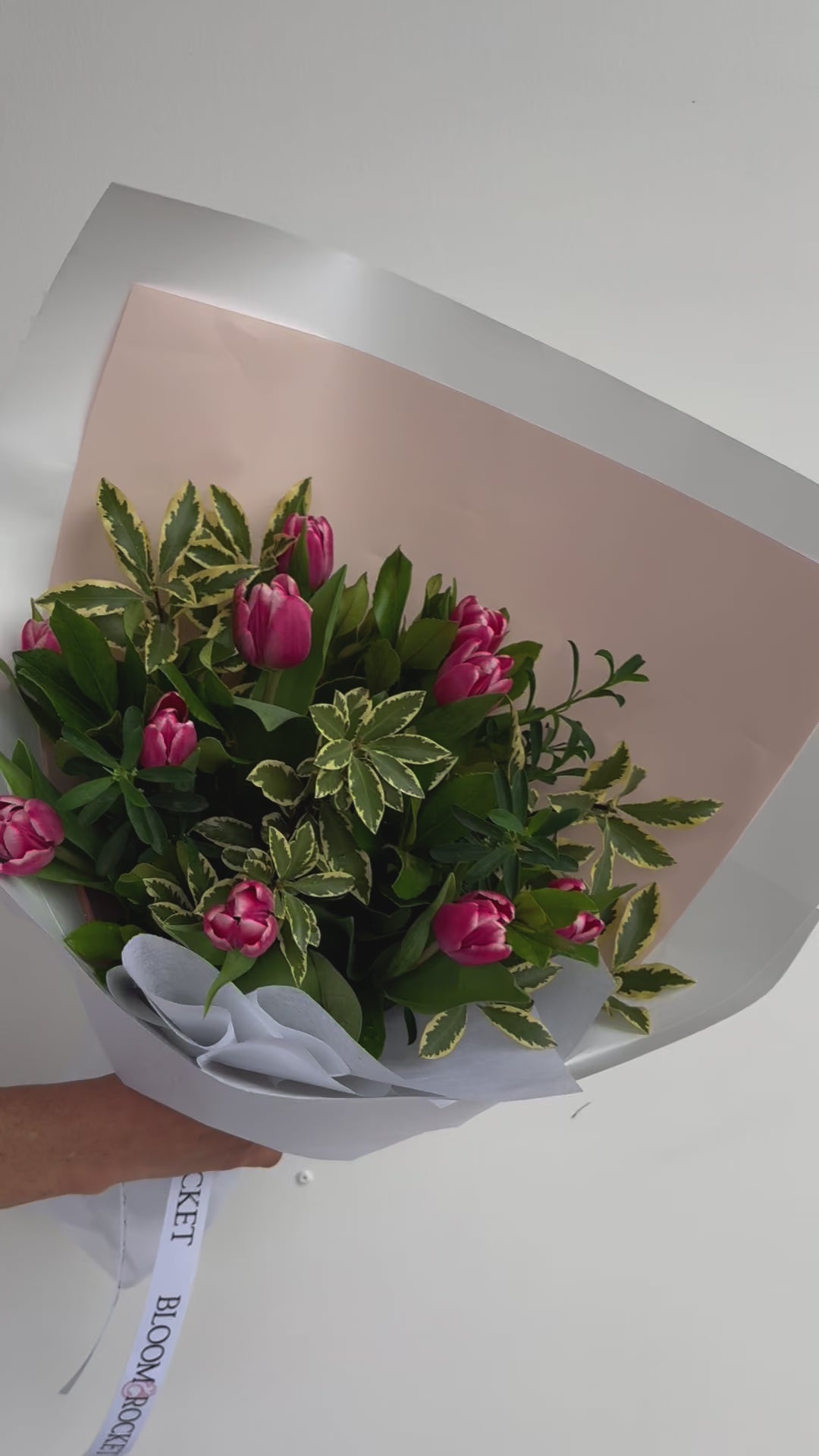 Sweet Tulips